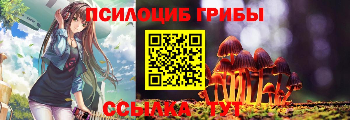 Асбест  наркошоп  Вход с VPN  Галлюциногенные грибы Psilocybine cubensis 